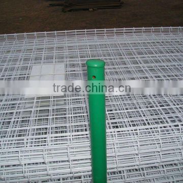 2x2 white pvc coated welded wire mesh fence