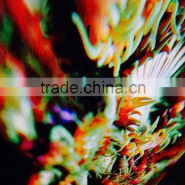 New Product Indoor Rental Led Screen photo-3