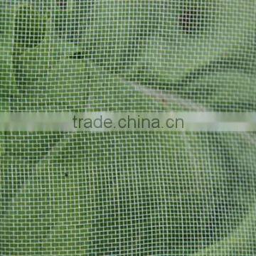 popular in australia and newzealand greenhouse market china PE anti insect net