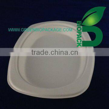 Biodegradable Sugarcane Plates