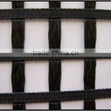 Geogrid