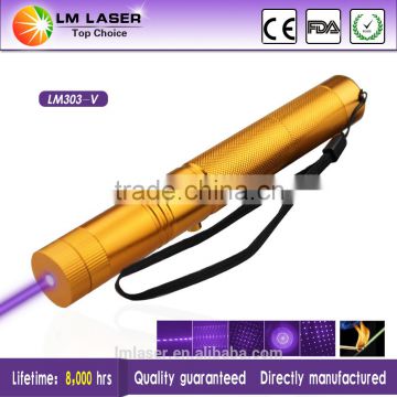 Handheld 100mW 405nm Violet Laser Pointer Christmas Sale