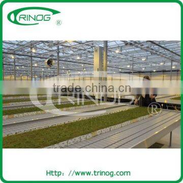 Ebb and Flow Seeding Beds in Commercial Greenhouse photo-4