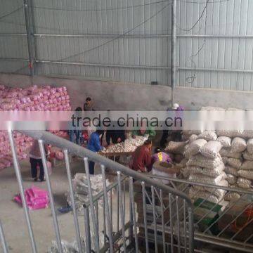 Normal White Garlic Price 10kg/carton for Colombia Market photo-4