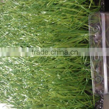 Standard FIFA 2 Star Artificial Grass/ Turf for Soccer