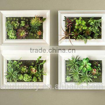New Design Assorted Artificial Succulent Plants for Wall Decor