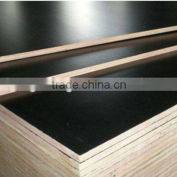 Plywood Dongming Brand