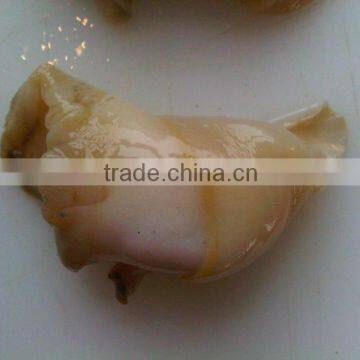 FROZEN BOILED WHELK MEAT