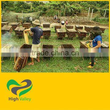 Vietnam Natural Honey - best price for bulk