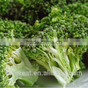Supplying Best Price Vacuum Fried VF Dried Brocoli Crips for Sale