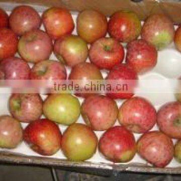 Chinese Fresh sweet Qin guan apple with good quality