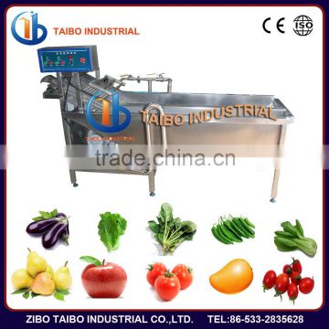 Fruit processing machinery washer type strawberries washing equippment