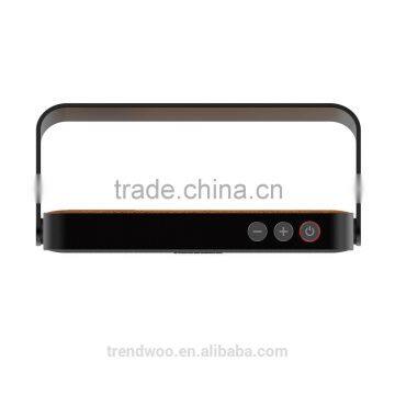 Portable Handle Bluetooth Speaker With Water Resistant IPX4 photo-2