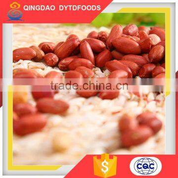 China Manufacturer Chinese Red Skin Peanuts Kernels