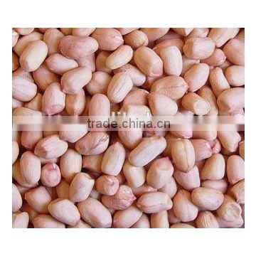 wholesale peanuts peanut kernels shelled blanched peanut price