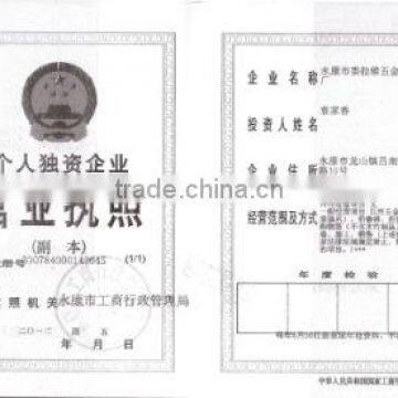 company's business license