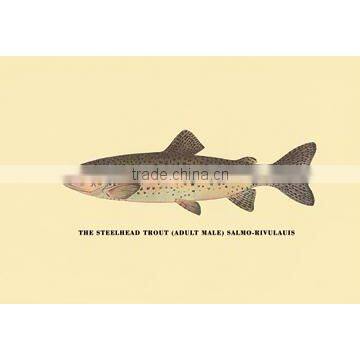 The Steelhead Trout 20x30 poster