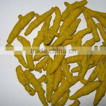 TURMERIC FINGER photo-6