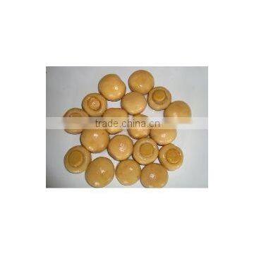 New Season Canned Whole Mushroom photo-2