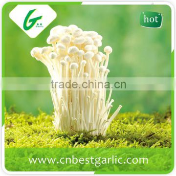 100% natural fresh enoki mushroom