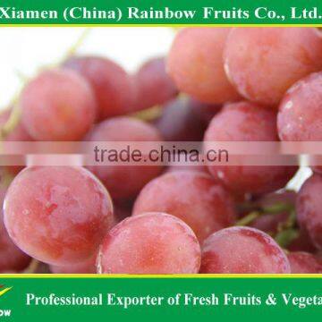 Fresh fruit of Yunnan Red Globe Grape with good taste grapes peru Seedless grapes