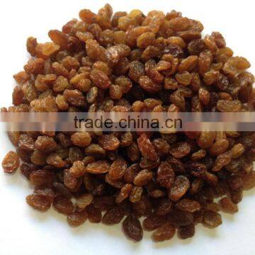 QUALITY SULTANA RAISIN FOR SUPPLY