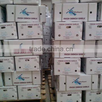 Fresh Garlic/ail Frais photo-2