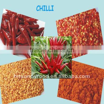 GOOD QUALITY DRY CHILLI POWDER