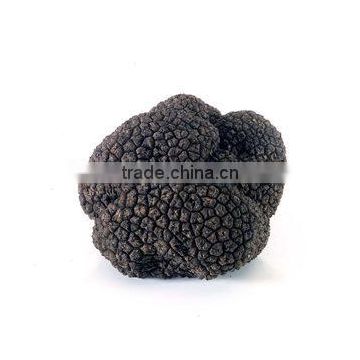 deep frozen black truffle