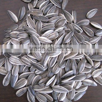 Chinese Sunflower seeds 658