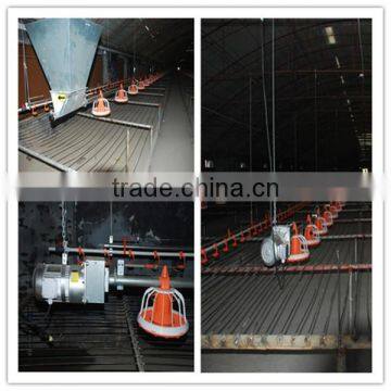 Automatic feeding system broiler farm