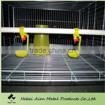 cage for growing broiler