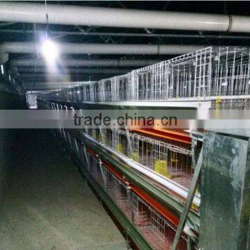 Automatic Feeding Equipment Stainless Steel Poultry Drinking System photo-3