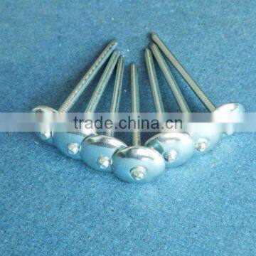 electro galvanized 2.5 inch screw shank twisted roofing nail