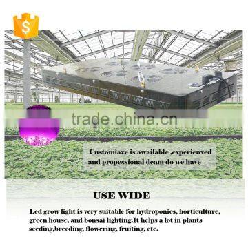 China 5W Chip 1200w Led Grow Light photo-6