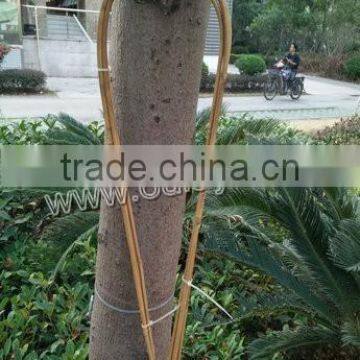 u hoop bamboo trellis/bamboo u hoop garden poles