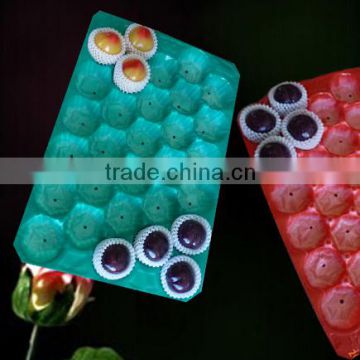 Plastic Fruit Tray Displaying Fruit