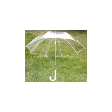Transparent Umbrella - 01