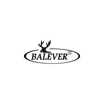 balever(HK) Technology Co., Ltd