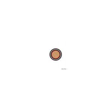 Copper or Aluninum Conductor Plastic Insulited Power Cable