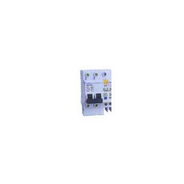 Earth Leakage Circuit Breaker (DZ47LE 2-P)