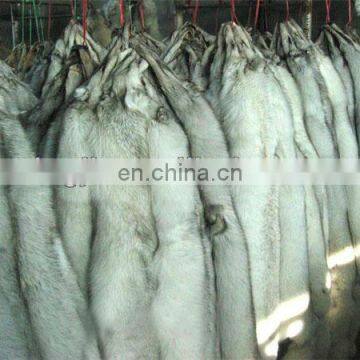 Top quality natural color Blue fox fur skin