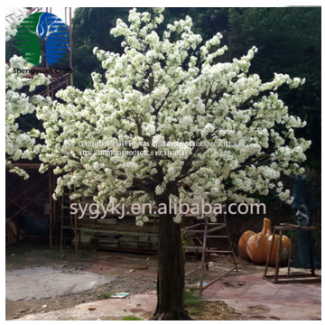 China factory hot sale white cherry blossom tree for home decoration