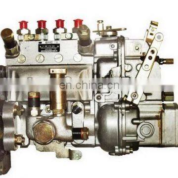 4R1ZT310100-A/10402374033/10 402 374 033 Diesel Fuel Injection Pump for WeiChaiHuaFeng R4105ZT2 Engine