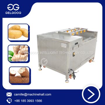 Brush Type Cleaning Machine Fully Automatic Ginger Washing Peeling Machine