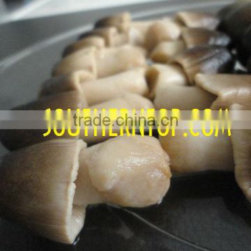 STRAW MUSHROOM