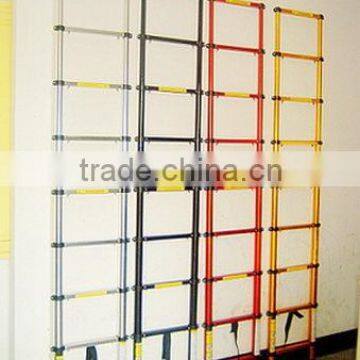 Telescopic Straight Ladder(with EN131 Certification)