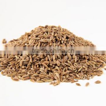 Dill Seeds