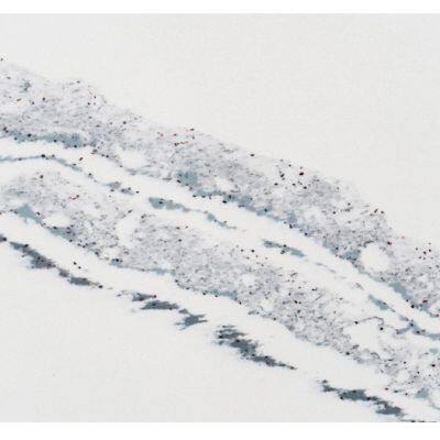 Code:1211,Calacatta Artificial Stone Quartz Slab Kitchen Countertops