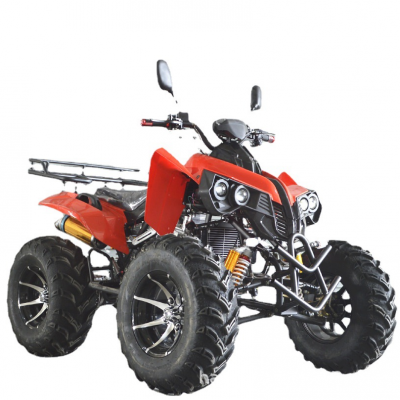 High Quality Tricycle Motorcycle 250CC 300CC quad ATV UTV for sale